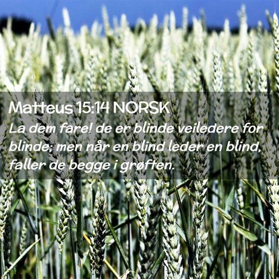 Picture 02 - Matteus 15:14 NORSK - La dem fare! de er blinde veiledere for blinde; - Bible Verse Picture