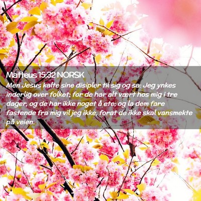 Picture 02 - Matteus 15:32 NORSK - Men Jesus kalte sine disipler til sig og sa: Jeg - Bible Verse Picture