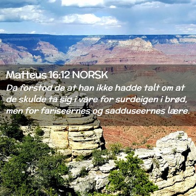 Picture 02 - Matteus 16:12 NORSK - Da forstod de at han ikke hadde talt om at de - Bible Verse Picture