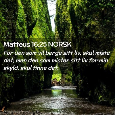Picture 02 - Matteus 16:25 NORSK - For den som vil berge sitt liv, skal miste det; - Bible Verse Picture