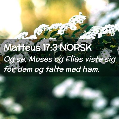 Picture 02 - Matteus 17:3 NORSK - Og se, Moses og Elias viste sig for dem og talte - Bible Verse Picture