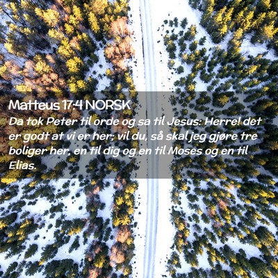 Picture 02 - Matteus 17:4 NORSK - Da tok Peter til orde og sa til Jesus: Herre! det - Bible Verse Picture