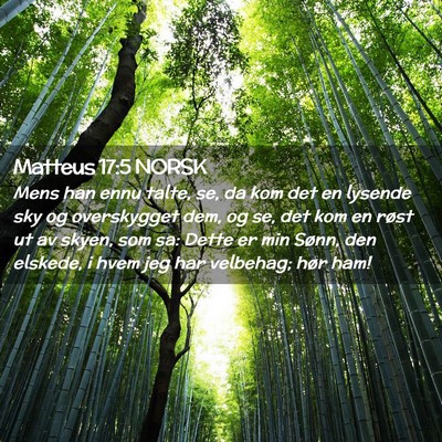 Picture 02 - Matteus 17:5 NORSK - Mens han ennu talte, se, da kom det en lysende - Bible Verse Picture