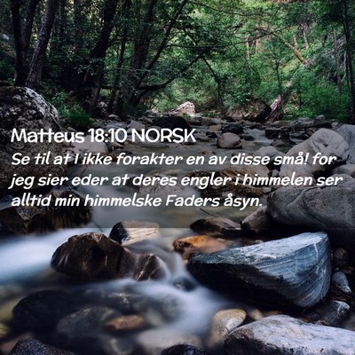 Picture 02 - Matteus 18:10 NORSK - Se til at I ikke forakter en av disse små! for - Bible Verse Picture