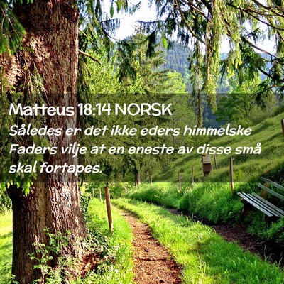 Picture 02 - Matteus 18:14 NORSK - Således er det ikke eders himmelske Faders vilje - Bible Verse Picture