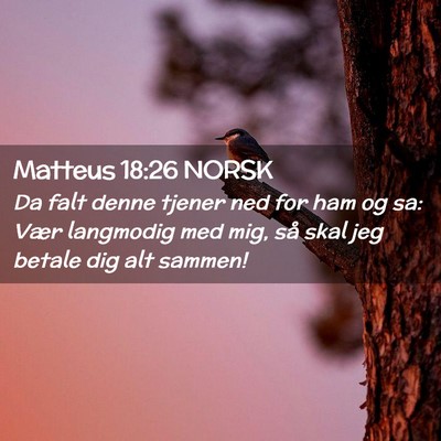 Picture 02 - Matteus 18:26 NORSK - Da falt denne tjener ned for ham og sa: Vær - Bible Verse Picture