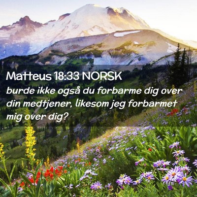 Picture 02 - Matteus 18:33 NORSK - burde ikke også du forbarme dig over din - Bible Verse Picture