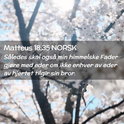 Picture 02 - Matteus 18:35 NORSK - Således skal også min himmelske Fader gjøre - Bible Verse Picture