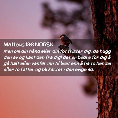 Picture 02 - Matteus 18:8 NORSK - Men om din hånd eller din fot frister dig, da - Bible Verse Picture