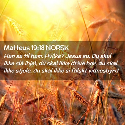 Picture 02 - Matteus 19:18 NORSK - Han sa til ham: Hvilke? Jesus sa: Du skal ikke - Bible Verse Picture