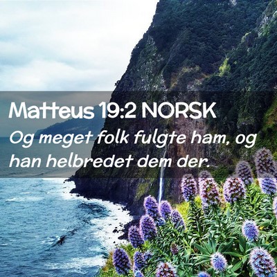 Picture 02 - Matteus 19:2 NORSK - Og meget folk fulgte ham, og han helbredet dem - Bible Verse Picture