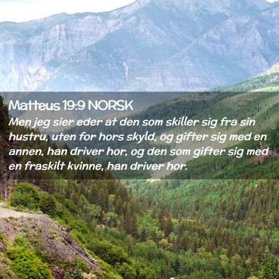 Picture 02 - Matteus 19:9 NORSK - Men jeg sier eder at den som skiller sig fra sin - Bible Verse Picture