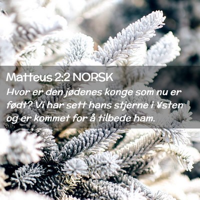 Picture 02 - Matteus 2:2 NORSK - Hvor er den jødenes konge som nu er født? Vi - Bible Verse Picture