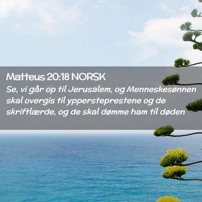 Picture 02 - Matteus 20:18 NORSK - Se, vi går op til Jerusalem, og Menneskesønnen - Bible Verse Picture
