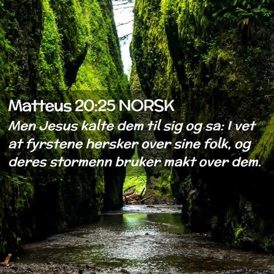 Picture 02 - Matteus 20:25 NORSK - Men Jesus kalte dem til sig og sa: I vet at - Bible Verse Picture