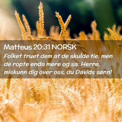 Picture 02 - Matteus 20:31 NORSK - Folket truet dem at de skulde tie; men de ropte - Bible Verse Picture