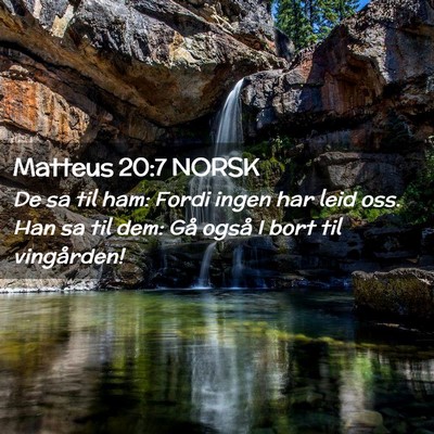 Picture 02 - Matteus 20:7 NORSK - De sa til ham: Fordi ingen har leid oss. Han sa - Bible Verse Picture