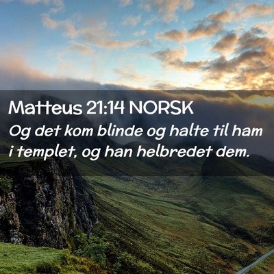 Picture 02 - Matteus 21:14 NORSK - Og det kom blinde og halte til ham i templet, og - Bible Verse Picture