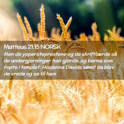 Picture 02 - Matteus 21:15 NORSK - Men da yppersteprestene og de skriftlærde så de - Bible Verse Picture