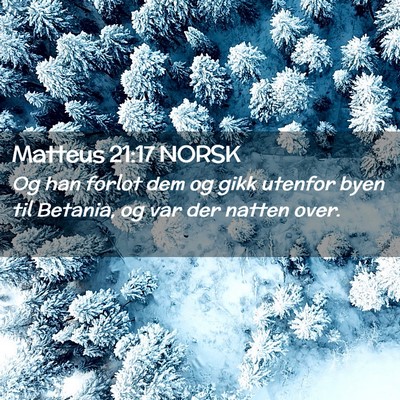 Picture 02 - Matteus 21:17 NORSK - Og han forlot dem og gikk utenfor byen til - Bible Verse Picture