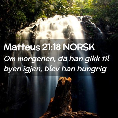 Picture 02 - Matteus 21:18 NORSK - Om morgenen, da han gikk til byen igjen, blev han - Bible Verse Picture