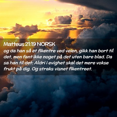 Picture 02 - Matteus 21:19 NORSK - og da han så et fikentre ved veien, gikk han - Bible Verse Picture