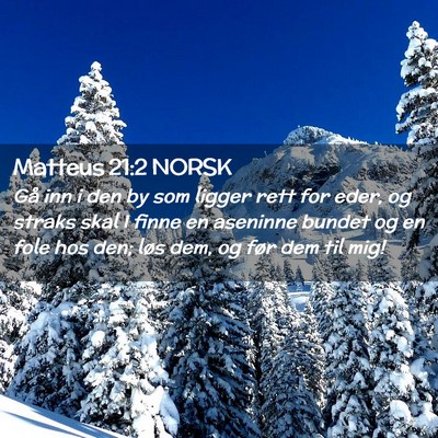 Picture 02 - Matteus 21:2 NORSK - Gå inn i den by som ligger rett for eder, og - Bible Verse Picture