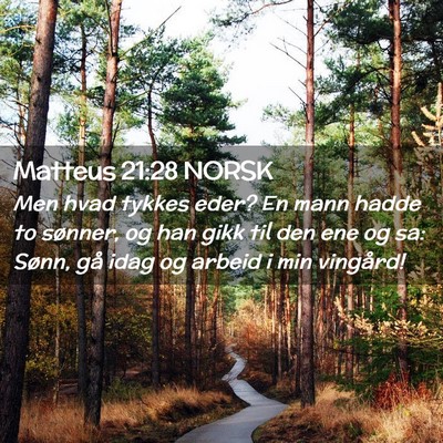 Picture 02 - Matteus 21:28 NORSK - Men hvad tykkes eder? En mann hadde to sønner, - Bible Verse Picture