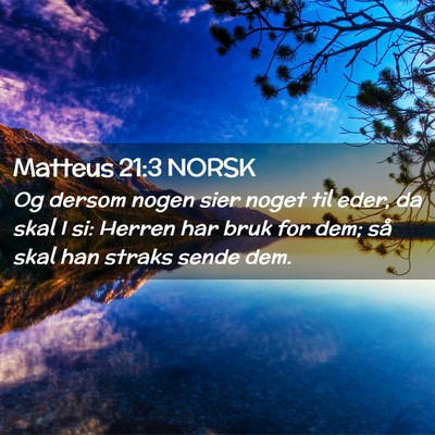Picture 02 - Matteus 21:3 NORSK - Og dersom nogen sier noget til eder, da skal I - Bible Verse Picture