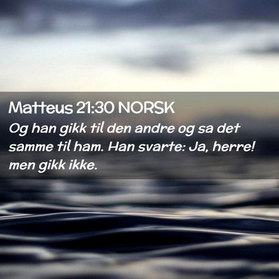 Picture 02 - Matteus 21:30 NORSK - Og han gikk til den andre og sa det samme til - Bible Verse Picture