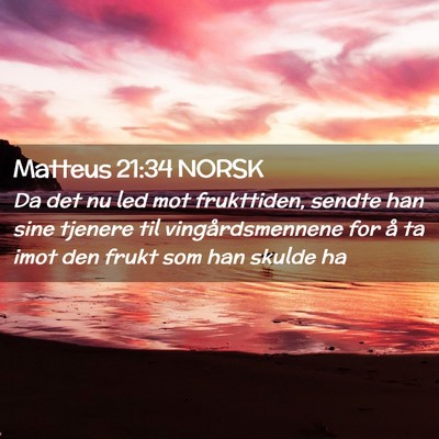 Picture 02 - Matteus 21:34 NORSK - Da det nu led mot frukttiden, sendte han sine - Bible Verse Picture