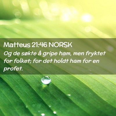 Picture 02 - Matteus 21:46 NORSK - Og de søkte å gripe ham, men fryktet for - Bible Verse Picture