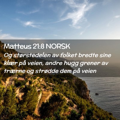 Picture 02 - Matteus 21:8 NORSK - Og størstedelen av folket bredte sine klær på - Bible Verse Picture