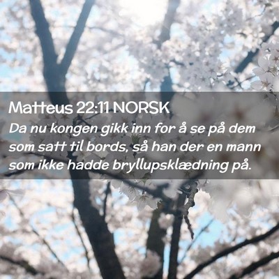 Picture 02 - Matteus 22:11 NORSK - Da nu kongen gikk inn for å se på dem som satt - Bible Verse Picture
