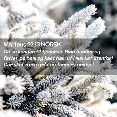Picture 02 - Matteus 22:13 NORSK - Da sa kongen til tjenerne: Bind hender og føtter - Bible Verse Picture