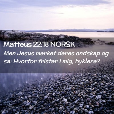 Picture 02 - Matteus 22:18 NORSK - Men Jesus merket deres ondskap og sa: Hvorfor - Bible Verse Picture