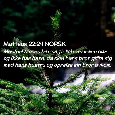 Picture 02 - Matteus 22:24 NORSK - Mester! Moses har sagt: Når en mann dør og ikke - Bible Verse Picture
