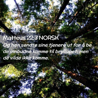 Picture 02 - Matteus 22:3 NORSK - Og han sendte sine tjenere ut for å be de - Bible Verse Picture
