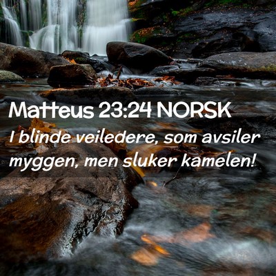Picture 02 - Matteus 23:24 NORSK - I blinde veiledere, som avsiler myggen, men - Bible Verse Picture