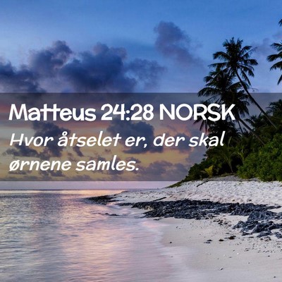 Picture 02 - Matteus 24:28 NORSK - Hvor åtselet er, der skal ørnene - Bible Verse Picture