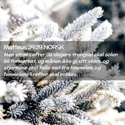 Picture 02 - Matteus 24:29 NORSK - Men straks efter de dagers trengsel skal solen - Bible Verse Picture