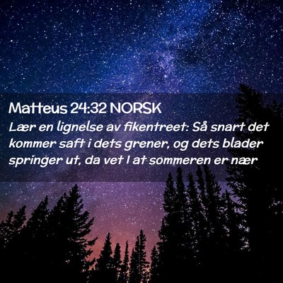 Picture 02 - Matteus 24:32 NORSK - Lær en lignelse av fikentreet: Så snart det - Bible Verse Picture