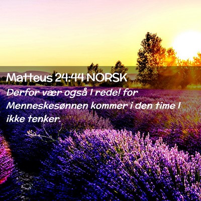 Picture 02 - Matteus 24:44 NORSK - Derfor vær også I rede! for Menneskesønnen - Bible Verse Picture