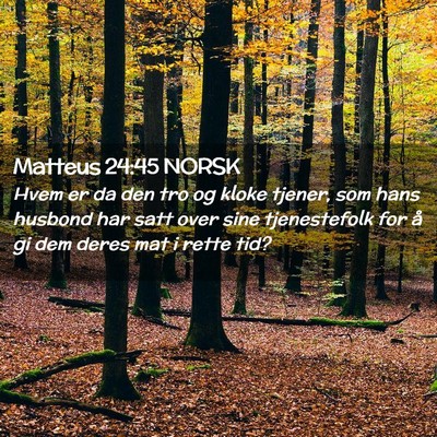 Picture 02 - Matteus 24:45 NORSK - Hvem er da den tro og kloke tjener, som hans - Bible Verse Picture