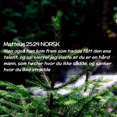 Picture 02 - Matteus 25:24 NORSK - Men også han kom frem som hadde fått den ene - Bible Verse Picture