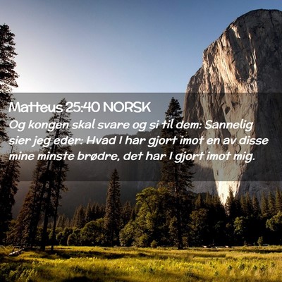 Picture 02 - Matteus 25:40 NORSK - Og kongen skal svare og si til dem: Sannelig sier - Bible Verse Picture