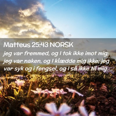 Picture 02 - Matteus 25:43 NORSK - jeg var fremmed, og I tok ikke imot mig; jeg var - Bible Verse Picture