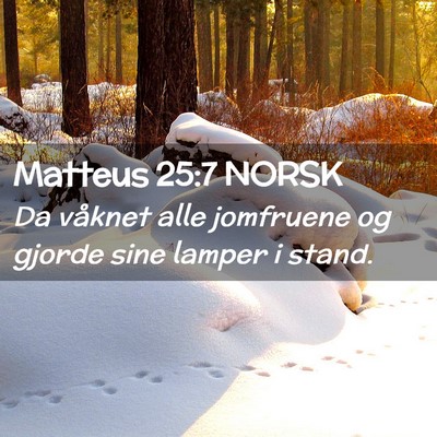 Picture 02 - Matteus 25:7 NORSK - Da våknet alle jomfruene og gjorde sine lamper i - Bible Verse Picture