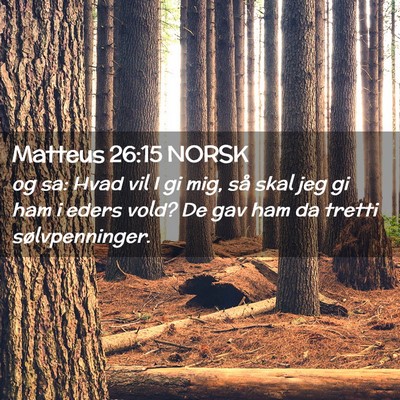 Picture 02 - Matteus 26:15 NORSK - og sa: Hvad vil I gi mig, så skal jeg gi ham i - Bible Verse Picture