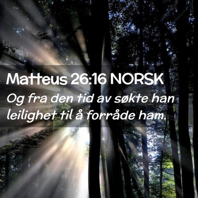 Picture 02 - Matteus 26:16 NORSK - Og fra den tid av søkte han leilighet til å - Bible Verse Picture